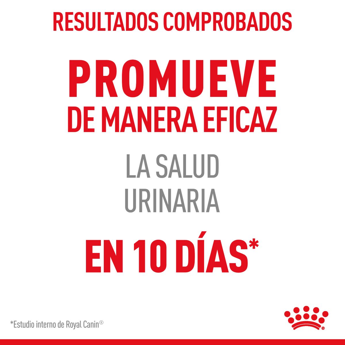 Royal Canin Urinary Care para Gato Kg - Alimento para Gato Royal Canin Urinary Care para Gato Kg - Alimento para Gato